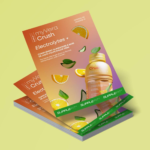 SuppleFit flyer (INTA006-06/INTA006-12) French (50 pcs)