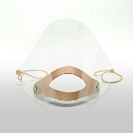 Transparent mouth and nose shield