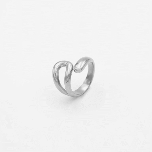 modern-hug-stainless-steel-ring