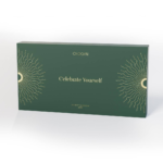 Advent Calendar 2024